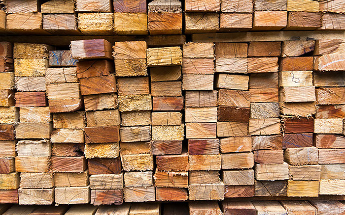 Pino de Construcción